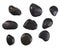 Collection of black massage stones