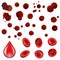 Collection Blood Drop And Cells