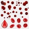 Collection Blood Drop And Cells