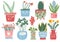 Collection of Blooming Plants in Colorful Pots, Indoor Potted Houseplants Vector Illustration