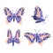 Collection of blue butterflys on white background