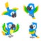 The collection of the blue parrots with happy faces
