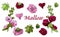 Collection with  bouquet and single flowers of  maroon and pink mallow flowers and green leaves.