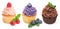 Collection of bright cupcakes with fresh berries