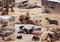 Collection of of Brown fur seal - sea lions Africa