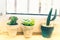 Collection of cactus and succulent plants in pots  Cactus planted in pots placed on the shelf along the white wooden windows