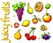 Collection of cartoon juicy fruits