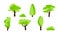 Collection of cartoon trees island with leaves. Orchard, fruit plants, shrubs bushes. Forest line pines, cypresses