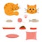 Collection for cat or dog. Sleeping cat. Toys. Bowl with food and empty plate. Cat basket. Mice and fish. Ball of thread