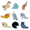 Collection of cat icons
