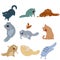 Collection of cat icons