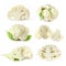 Collection of cauliflower isolated on white