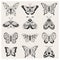 Collection of celestial butterflies and moths