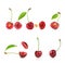 Collection of cherries