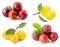 Collection of cherry plums isolated on the white background