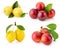 Collection of cherry plums isolated on the white background