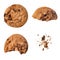 Collection of Chocolate chip cookie pieces with crumbs isolated on white background