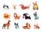 Collection of Christmas dogs, Merry Christmas illustrations of cute pets with accessories like a knited hats, sweaters