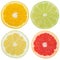 Collection of citrus fruits orange lemon slices sliced square is