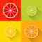 Collection of citrus slices icons â€“ grapefruit, lime, lemon