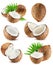 Collection of coconuts isolated on the white background