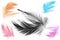 Collection color trends chicken feather texture background