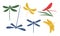 Collection of Colorful Beautiful Dragonflies Flying Insects Vector Illustration