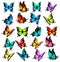 Collection of colorful butterflies