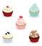Collection of colorful cupcake