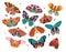 Collection of colorful hand drawn butterflies and moths on white background. Stylized flying insects, vector