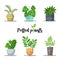 Collection of Colorful Potted plants in flat design