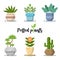 Collection of Colorful Potted plants in flat design