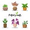 Collection of Colorful Potted plants in flat design