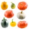 Collection of colorful pumpkins