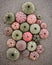 A collection of colorful sea urchin shells on a sandy beach closeup.