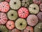 A collection of colorful sea urchin shells on a sandy beach closeup.