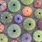 A collection of colorful sea urchin shells on wet sand beach, top view.