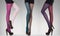 Collection of colorful stockings on woman legs on grey