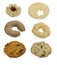 Collection of cookies