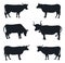 Collection of Cows isolated vector isolated silhouettes