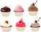 The collection of Cupcakes white background