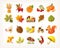 Collection of cute autumn seasonal images about harvest and nature. Plants flowers and animals icons.