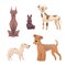 Collection cute different type of dogs small and big. Cartoon illustrations happy doggy or puppy. Pet animal clip art
