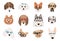 Collection of cute dogs of various breeds wearing glasses and sunglasses of different styles. Bundle of funny cartoon