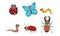 Collection of Cute Funny Cartoon Insects Set, Caterpillar, Butterfly, Ladybug, Earthworm, Deer Beetle Vector