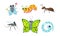 Collection of Cute Funny Cartoon Insects Set, Fly, Ant, Mosquito, Butterfly, Caterpillar, Worm Vector Illustration