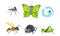 Collection of Cute Funny Cartoon Insects Set, Mosquito, Butterfly, Caterpillar, Wasp, Grasshopper, Spider, Worm Vector