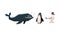 Collection of cute geometric marine animals and birds, whale, penguin, seagull vector Illustration on a white background