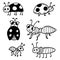 Collection of cute insects - ladybug and ants. Linear hand drawn doodle. Vector illustration. Isolated elements for