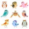 Collection of Cute Owlets, Colorful Adorable Owl Birds Vector Illustration on White Background